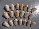 DSCN2803.webp