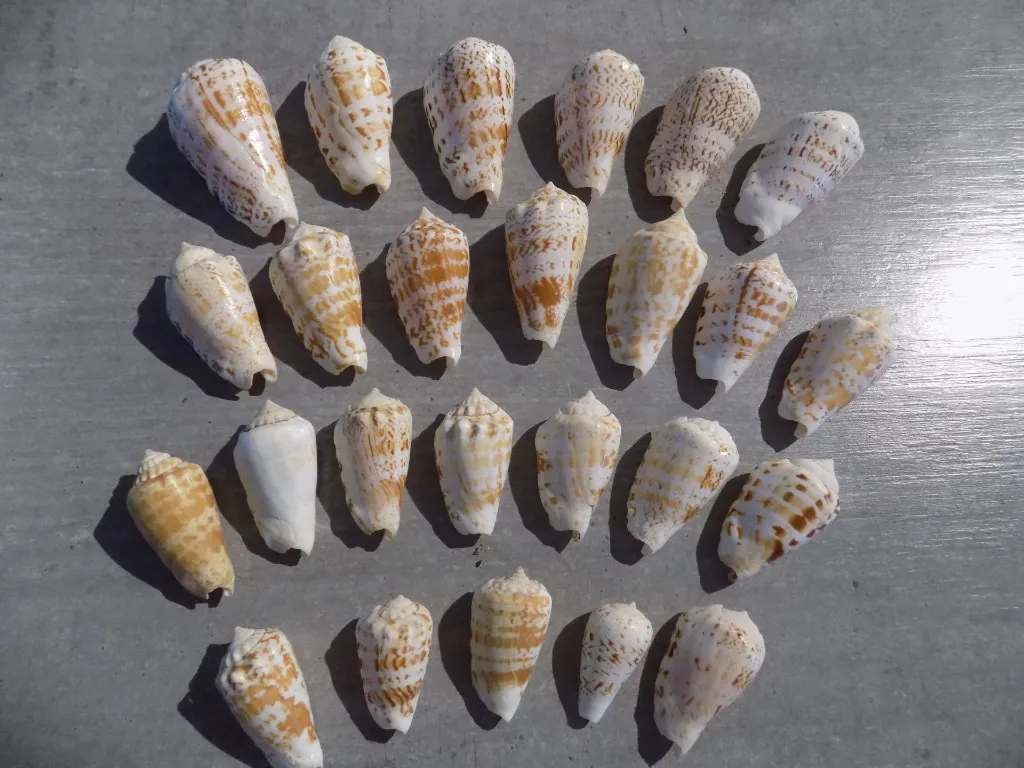 DSCN2807.webp