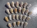 DSCN2807.webp
