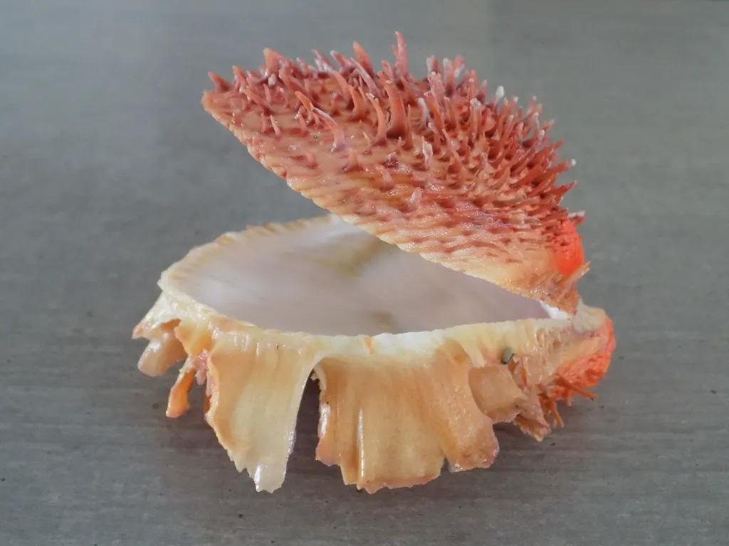 DSCN2820.webp