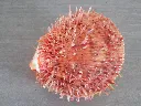 DSCN2821.webp