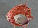 DSCN2827.webp