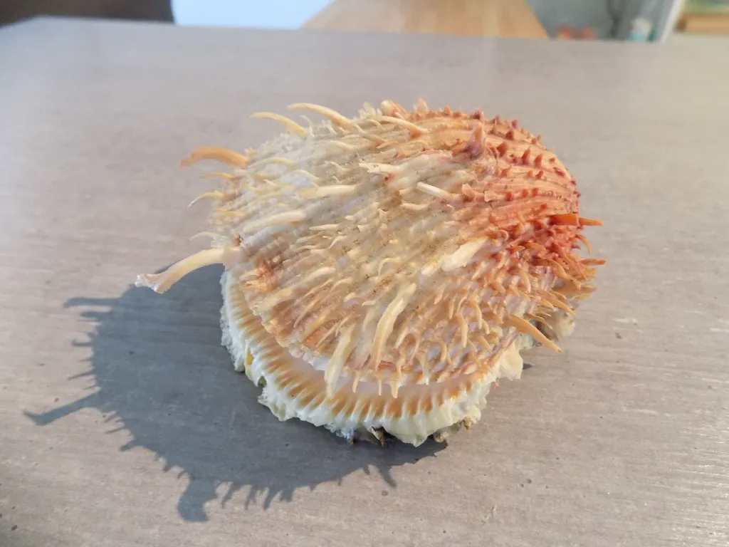 DSCN2830.webp