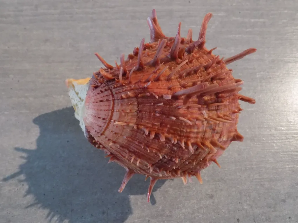 DSCN2839.webp