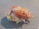 DSCN2842.webp
