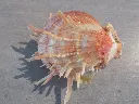 DSCN2844.webp
