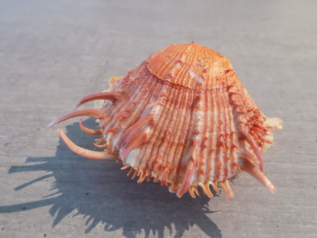 DSCN2846.webp