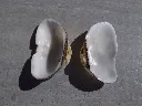 DSCN2851.webp