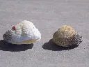 DSCN2856.webp