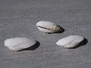 DSCN2859.webp