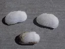 DSCN2860.webp