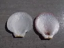 DSCN2870.webp