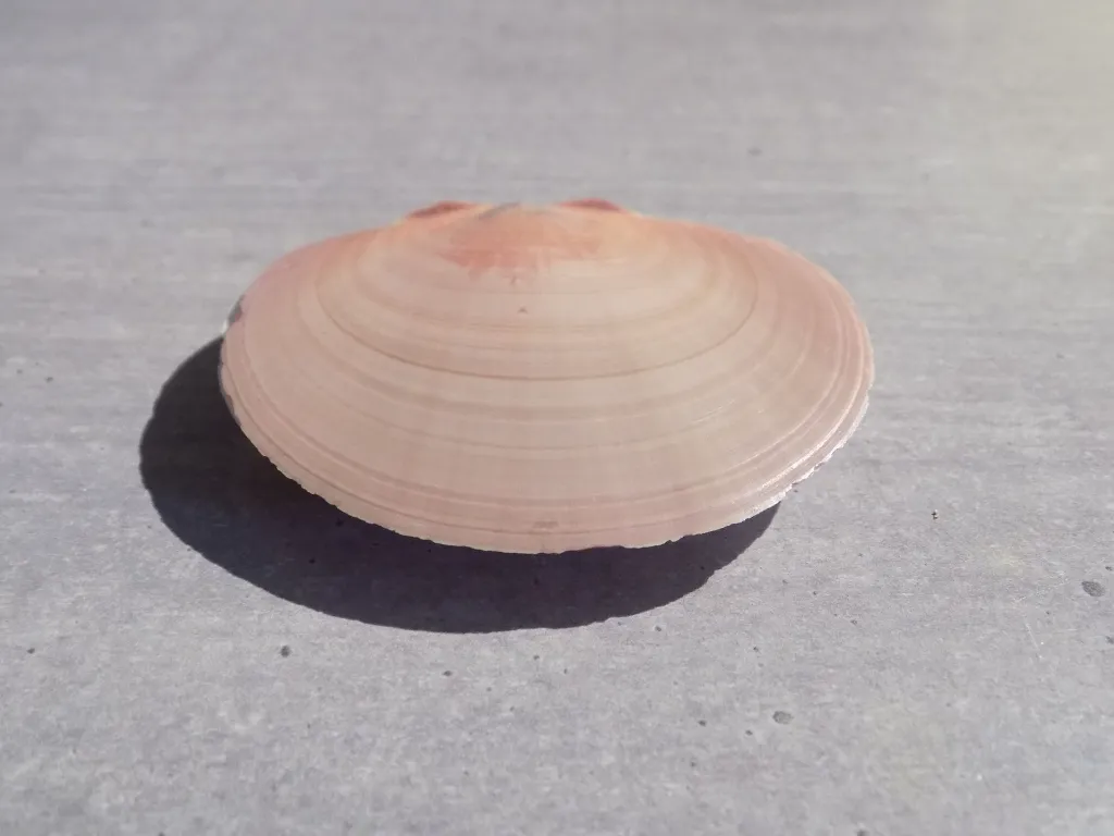DSCN2872.webp