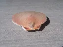 DSCN2873.webp