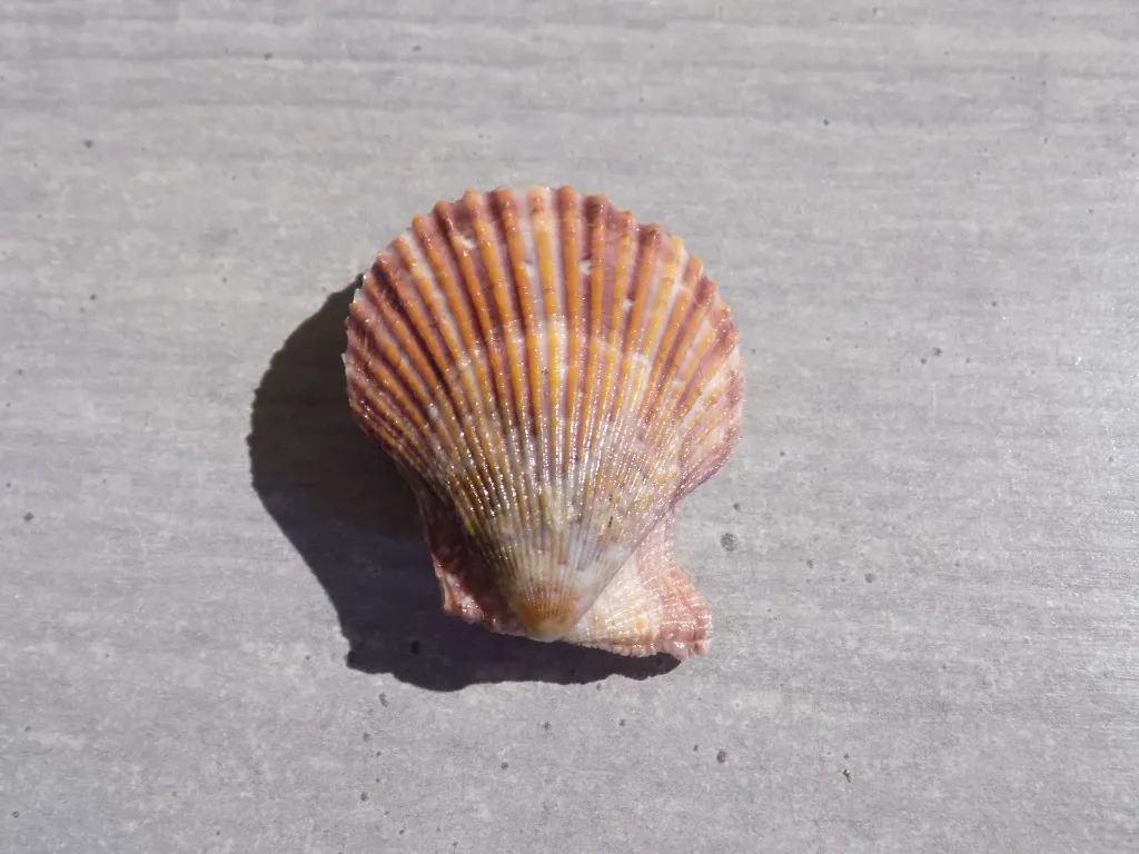 DSCN2877.webp
