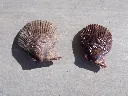 DSCN2879.webp