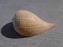 DSCN2953.webp