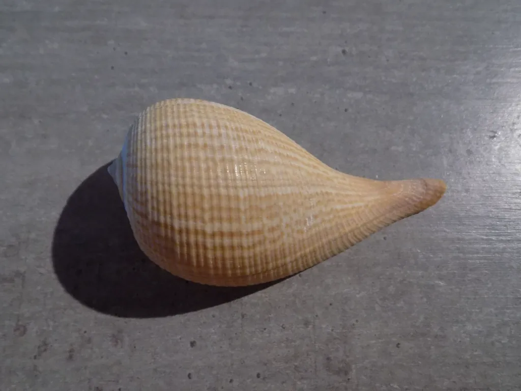 DSCN2957.webp