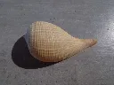 DSCN2957.webp