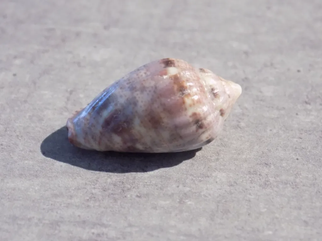 DSCN2968.webp