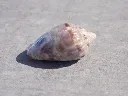 DSCN2968.webp