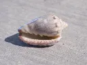 DSCN2970.webp