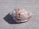 DSCN2971.webp