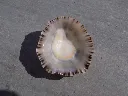 DSCN2979.webp