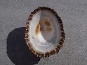 DSCN2983.webp
