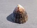 DSCN2984.webp