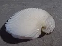 DSCN2964.webp