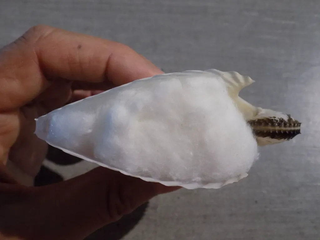 DSCN2965.webp