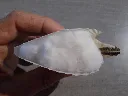DSCN2965.webp