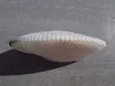 DSCN2966.webp