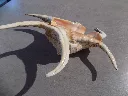 DSCN2943.webp