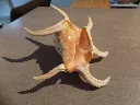 DSCN2944.webp