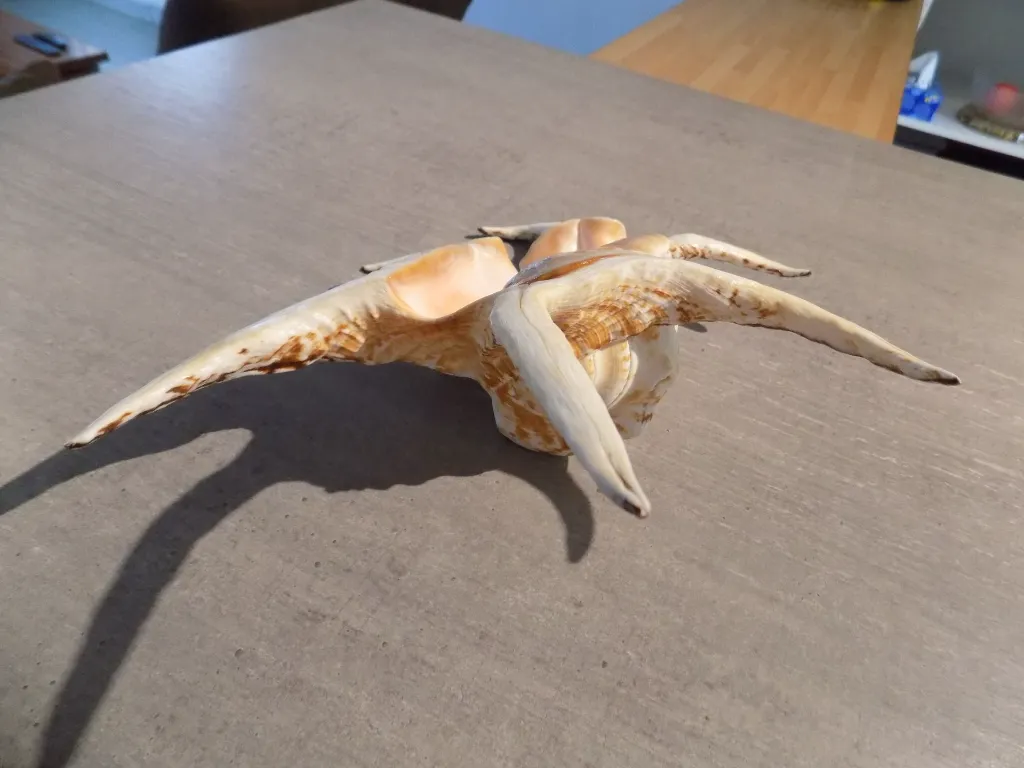 DSCN2945.webp