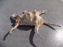 DSCN2946.webp