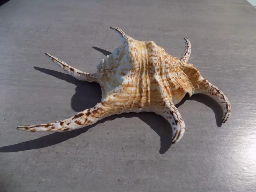 DSCN2947.webp