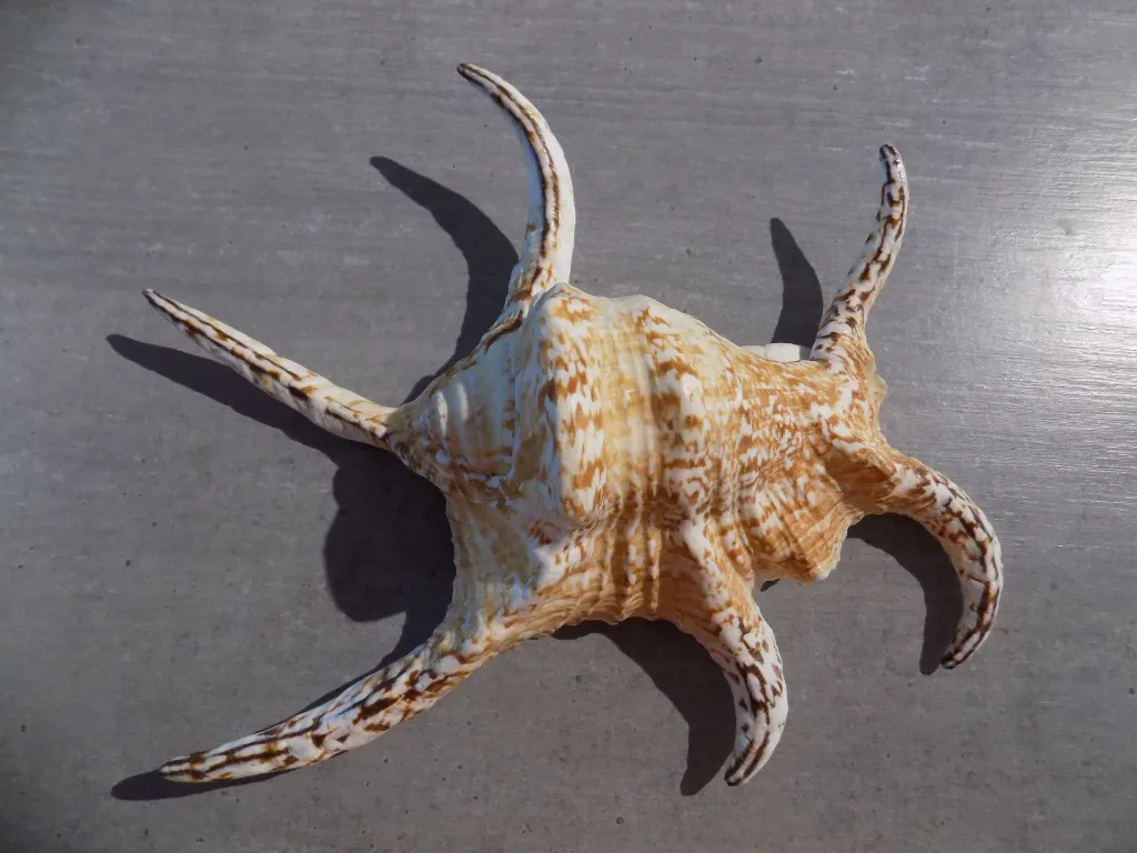 DSCN2948.webp
