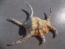 DSCN2948.webp