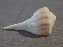 DSCN2990.webp