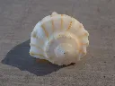 DSCN2991.webp