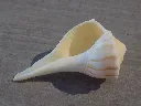 DSCN2992.webp