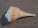 DSCN2993.webp