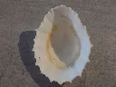 DSCN2995.webp