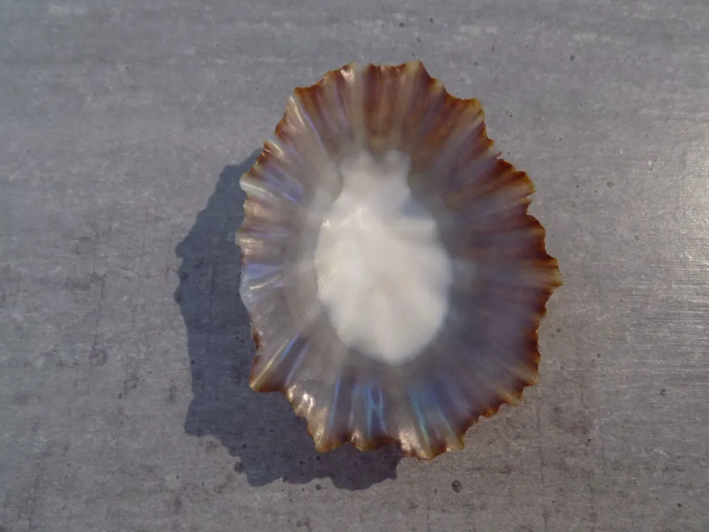 DSCN2998.webp