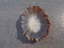 DSCN2998.webp
