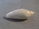 DSCN3018.webp