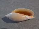 DSCN3019.webp